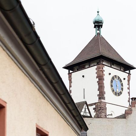 Deluxe Apartment Mit Schlossbergblick Freiburg im Breisgau Eksteriør bilde