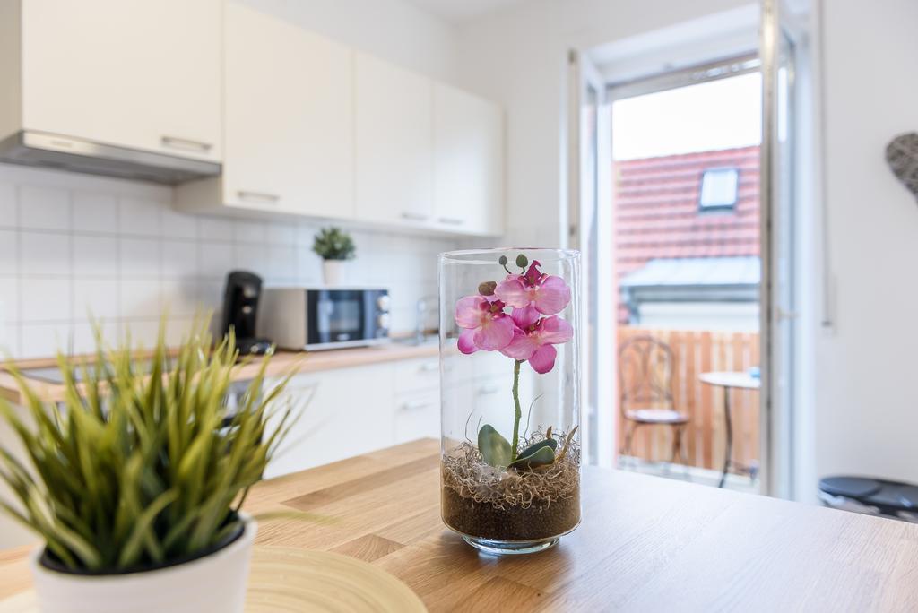 Deluxe Apartment Mit Schlossbergblick Freiburg im Breisgau Eksteriør bilde